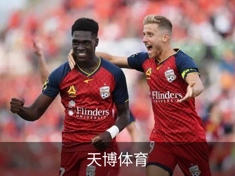 天博体育介绍